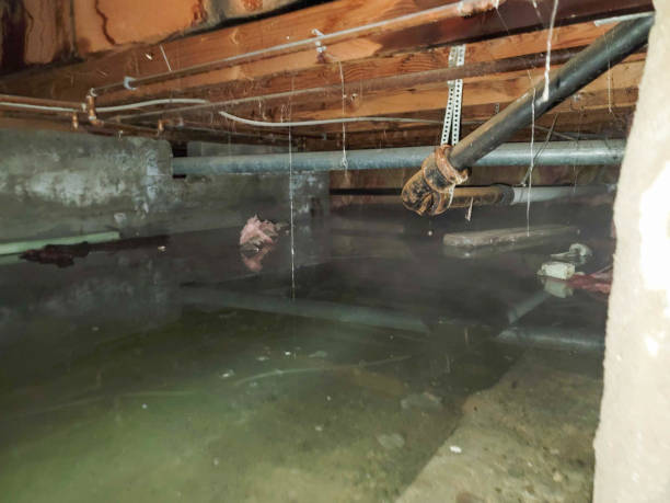 Best Flooded house restoration  in Garden City, ID