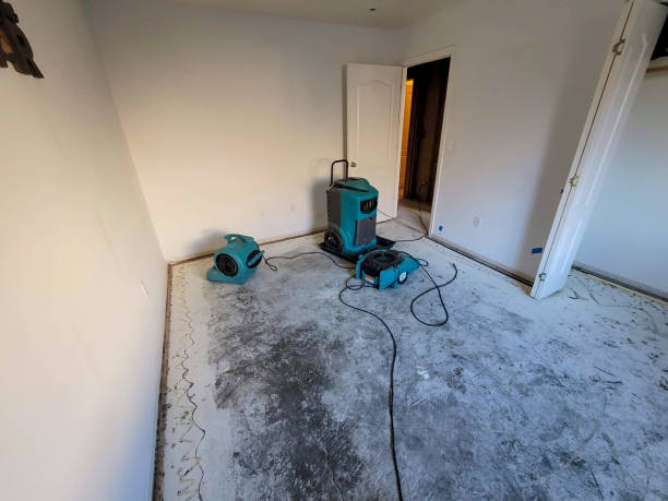 Best Water damage repair service  in Garden City, ID