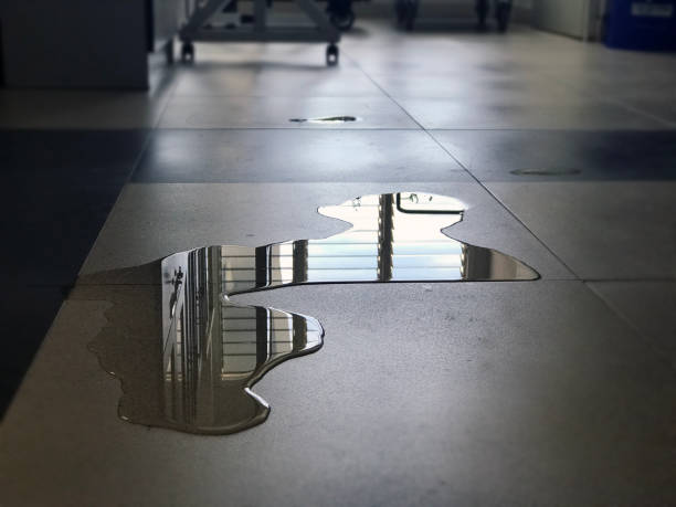 Best Water damage restoration process  in Garden City, ID