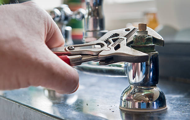 Best Professional water damage repair  in Garden City, ID